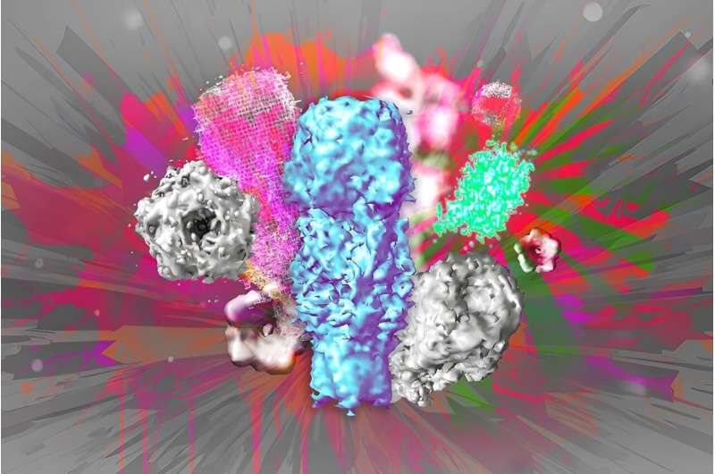 一步纳米级扩展显微镜：从分子到3D结构的传统显微镜